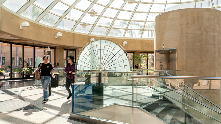 You'll Find it Under the Dome